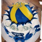 VV Grimma Fan Torte