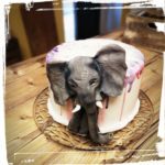 Motivtorte Elefant
